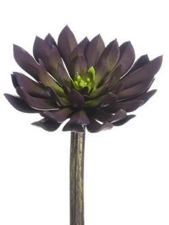 6″H X 4.75″D Soft Plastic Echeveria Pick Plum Green