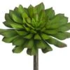 6″H X 6″D Soft Plastic Echeveria Pick Green