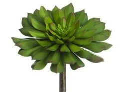 6″H X 6″D Soft Plastic Echeveria Pick Green