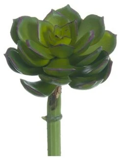 5″H X 2.5″D Soft Plastic Echeveria Pick Green Plum