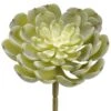 4″ Echeveria Pick Green Frosted