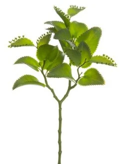 16″ Kalanchoe Leaf Spray Green