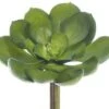 5″Lx5″W Soft Echeveria Pick Green