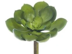 5″Lx5″W Soft Echeveria Pick Green