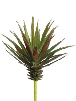 7.8″ Marginata Pick Red Green