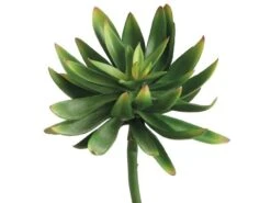 6.6″ Agave Pick Green