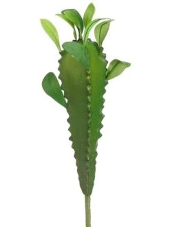 13″ Madagascar Plant Green