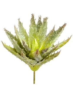 6.5″ Soft Aloe Pick Green