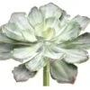 8″H X 10.5″D Echeveria Pick Green Gray