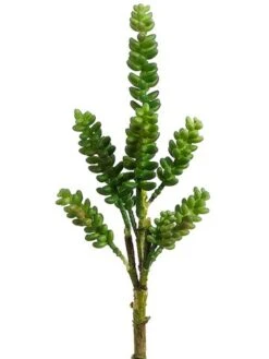 12″ Donkey Tail Pick Green