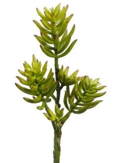 12″ Sedum Pick Green Burgundy