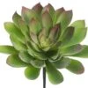 8’H X 12″D Soft Plastic Echeveria Pick Green Burgundy