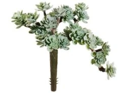 5″ Sedum Pick With 30 Leaves Dusty Green