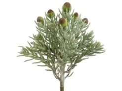 7″ Succulent Pick Frosted Green