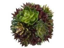6″ Succulent Ball Green Burgundy