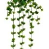 20″ Sedum Vine X9 Green