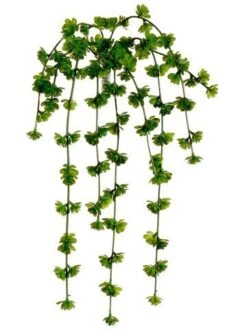 20″ Sedum Vine X9 Green