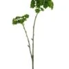 19″ Sedum Spray Green
