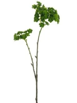 19″ Sedum Spray Green