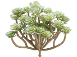 6.3″ Soft Sedum Pick Green Gray