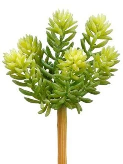 7″ Soft Sedum Pick Green