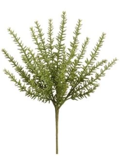 12″ Sedum Bush Green