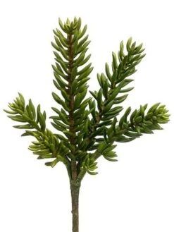 20″ Senecio Spray Green