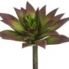 6″H X 6″D Soft Plastic Succulent Pick Green Brown