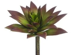 6″H X 6″D Soft Plastic Succulent Pick Green Brown