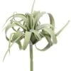 8″ Soft Plastic Tillandsia Pick Green Gray