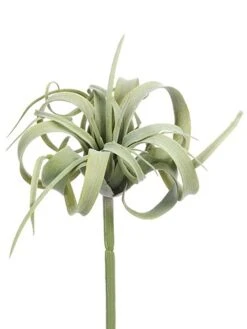 8″ Soft Plastic Tillandsia Pick Green Gray