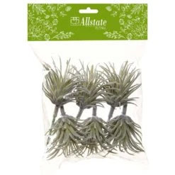 5″W X 7″L Flocking Mini Tillandisa Pick (6 Ea/ Bag) Gray