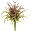6″H X 3.5″D Tillandsia Pick Green Red