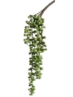 13″ Soft String Of Pearls Spray Green