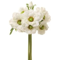 12.5″ Anemone Bundle Cream