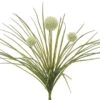 18″ Allium Bush Cream