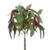 13″ Amaranthus Bundle X5 Brown