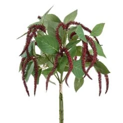 13″ Amaranthus Bundle X5 Brown