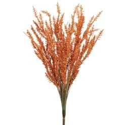 24″ Astilbe Bush X14 Flame