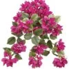24″ Bougainvillea Hanging Bush Beauty