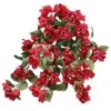 24″ Bougainvillea Hanging Bush Red
