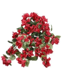 24″ Bougainvillea Hanging Bush Red