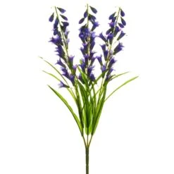 25″ Bellflower Bush X3 Blue Helio