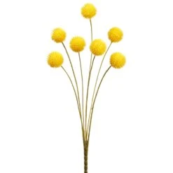 21″ Billy Button Bush Yellow