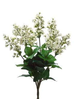 23″ Bouvardia Bush X7 Cream
