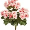 10″ Begonia Bush X3 Pink