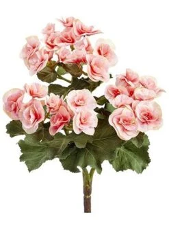 10″ Begonia Bush X3 Pink