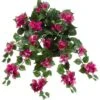 24″ Bougainvillea Hanging Bush X9 W/199 Lvs. Fuchsia