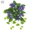 20.5″ UV Protected Clematis Bush Purple