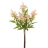 19″ Cestrum AurantiacumBundle X5Pink